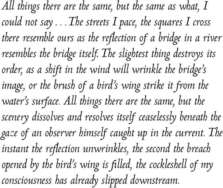 These lines might have seemed obscure but I was certain right away of holding - фото 19