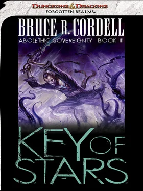 Bruce Cordell Key of Stars обложка книги