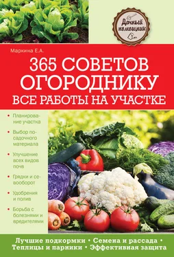 Елена Маркина 365 советов огороднику. Все работы на участке обложка книги