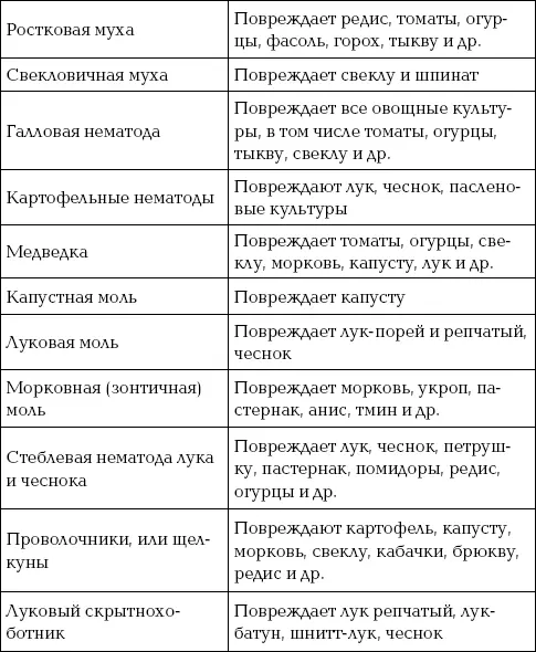 Избавляемся от слизней Этот вид вредителей оккупировал всю европейскую часть - фото 80
