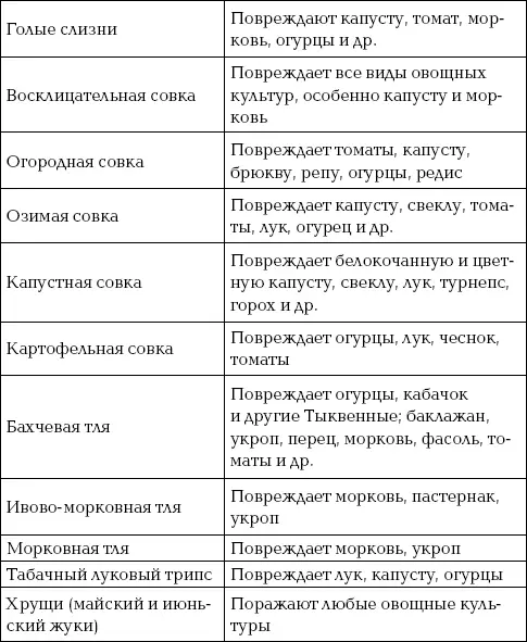 Избавляемся от слизней Этот вид вредителей оккупировал всю европейскую часть - фото 81