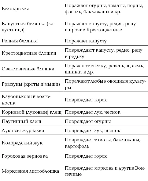 Избавляемся от слизней Этот вид вредителей оккупировал всю европейскую часть - фото 82