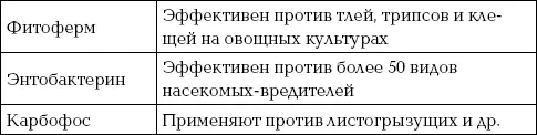 Болезни растений Растения на огороде могут поражаться различными вирусами - фото 86