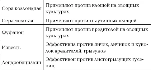 Болезни растений Растения на огороде могут поражаться различными вирусами - фото 87