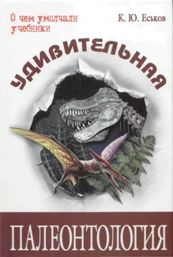 Кирилл Еськов Удивительная палеонтология обложка книги