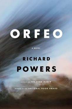 Powers, Richard Orfeo обложка книги