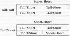 Descendants of the homozygous plant all appear tall while half of the - фото 1