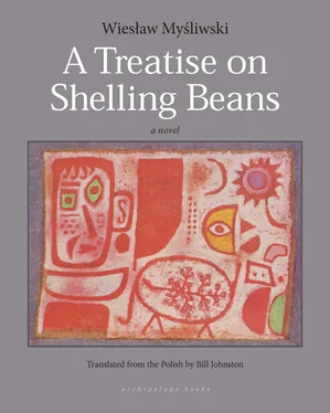 Wieslaw Mysliwski A Treatise on Shelling Beans обложка книги