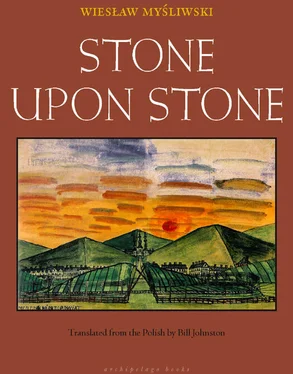 Wieslaw Mysliwski Stone Upon Stone обложка книги