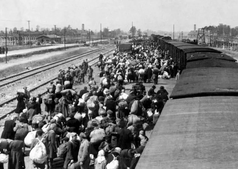 Транспорт венгерских евреев прибывает в Освенцим весной ранним летом 1944 - фото 21