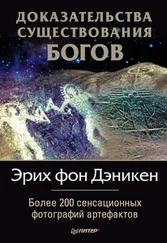 Эрих Дэникен - Доказательства существования богов. Более 200 сенсационных фотографий артефактов