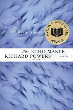 Richard Powers The Echo Maker обложка книги