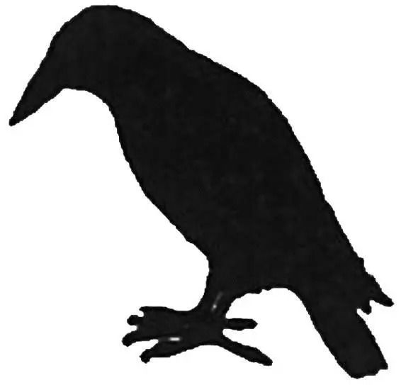 Everyone knows it is bad luck to step on a toad or on the shadow of a tree to - фото 50