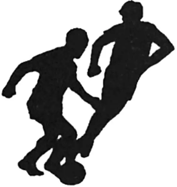 Goal by Nílton It was at the World Cup in 1958 Brazil was leading Austria - фото 79