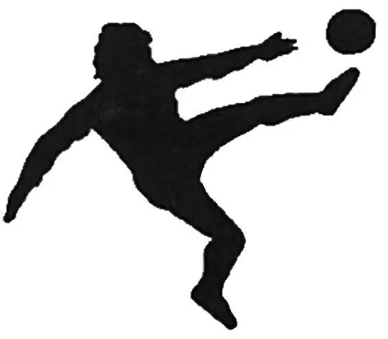 Later on in Naples Maradona was Santa Maradonna and the patron saint San - фото 165