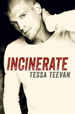 Tessa Teevan Incinerate обложка книги