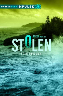 Erin Bowman Stolen обложка книги