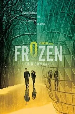 Erin Bowman Frozen обложка книги