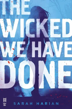 Sarah Harian The Wicked We Have Done обложка книги