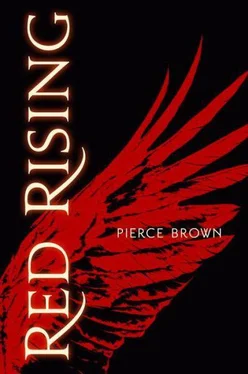 Pierce Brown Red Rising обложка книги