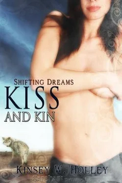 Kinsey Holley KISS AND KIN обложка книги