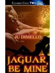 Ju DiMello - Jaguar, Be Mine