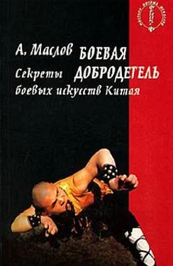 Алексей Маслов Боевая добродетель. Секреты боевых искусств Китая обложка книги