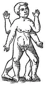 ANTIOCHUS KING His owner used him as a jester at banquets The slave Eunus - фото 103