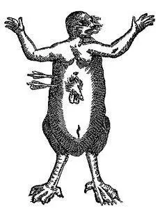 By decision of the Catholic Church this pagan festival which celebrated with - фото 118