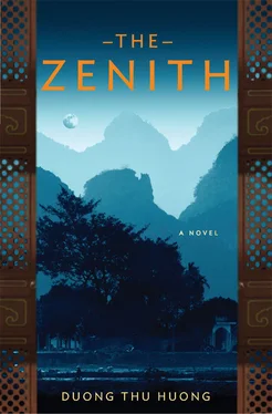 Duong Huong The Zenith обложка книги