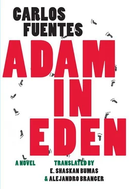 Carlos Fuentes Adam in Eden обложка книги