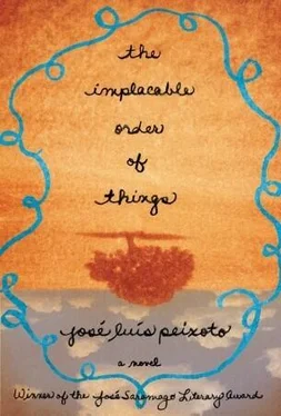 Jose Peixoto The Implacable Order of Things обложка книги