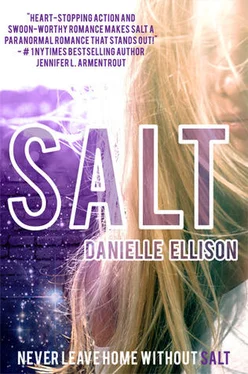 Danielle Ellison Salt обложка книги