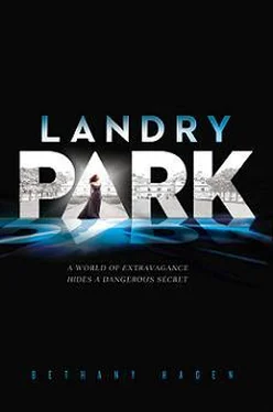 Bethany Hagen Landry Park обложка книги