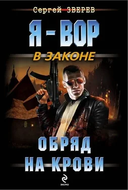 Сергей Зверев Обряд на крови обложка книги