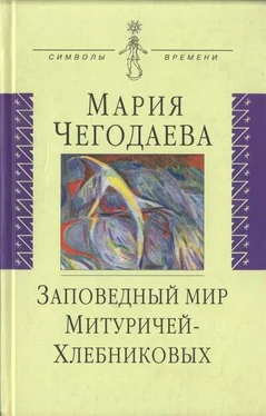 Мария Чегодаева Заповедный мир Митуричей-Хлебниковых обложка книги