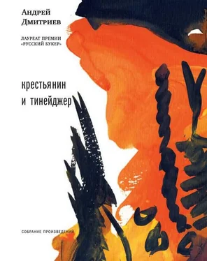 Андрей Дмитриев Крестьянин и тинейджер (сборник) обложка книги