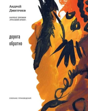 Андрей Дмитриев Дорога обратно (сборник) обложка книги