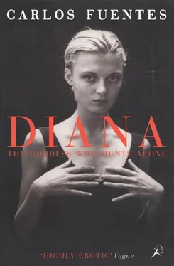 Carlos Fuentes Diana the Goddess Who Hunts Alone обложка книги