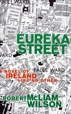 Robert Wilson Eureka Street: A Novel of Ireland Like No Other обложка книги