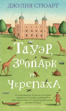 Джулия Стюарт Тауэр, зоопарк и черепаха обложка книги