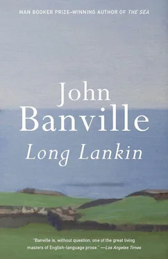 John Banville Long Lankin: Stories обложка книги