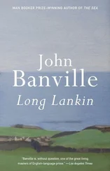 John Banville - Long Lankin - Stories