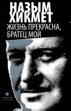 Назым Хикмет Жизнь прекрасна, братец мой обложка книги