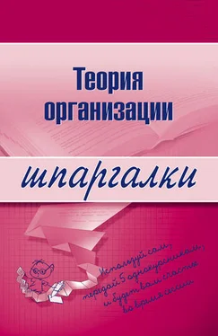 Анна Тюрина Теория организации обложка книги