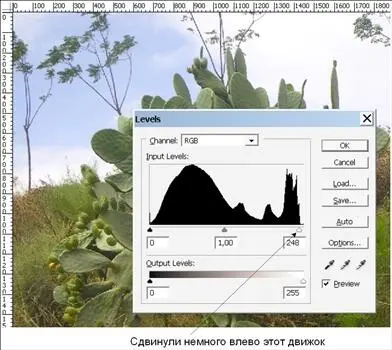 Рис П120Работаем с уровнями Однако и это не все Мое изображение слишком - фото 178