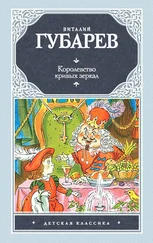 Виталий Губарев - Королевство кривых зеркал (сборник)