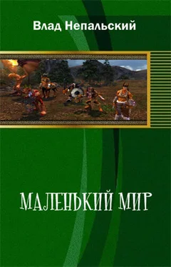 Влад Непальский Маленький мир (2-е издание) обложка книги