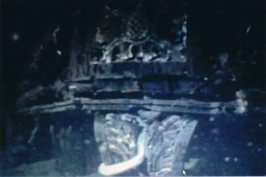 One of the strangest organisms observed inside the Titanic was the - фото 15