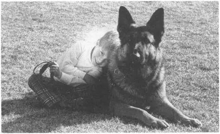 The ideal dog is a friendly goodnatured family member an alert courageous - фото 5